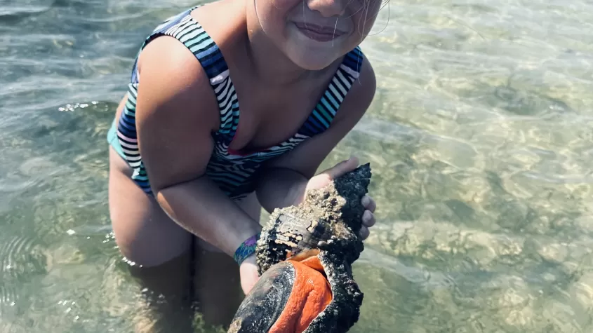 Charter guest holding a live horse conch