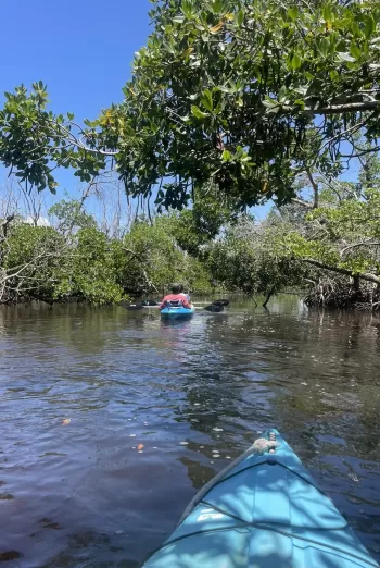 Tarpon Bay Explorers kayaking