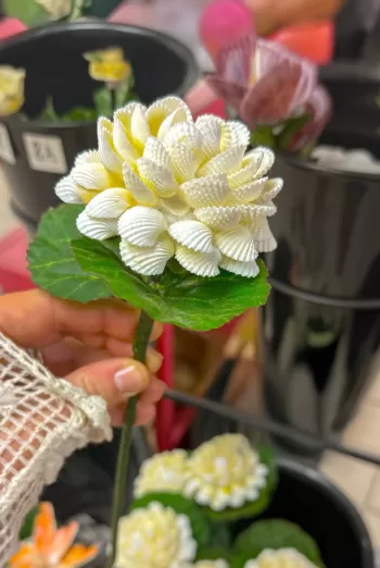 Hand holding a white shell flower atop a green faux leaf.