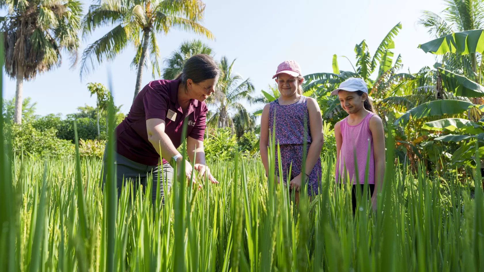 Green grass with educator teaching people 