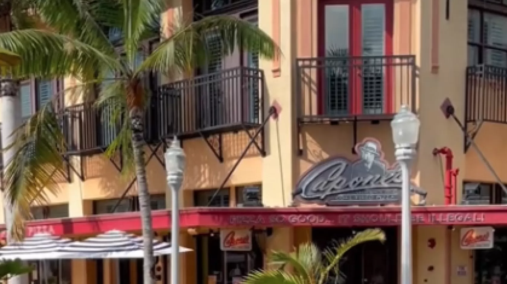 buildings along street with palmtrees