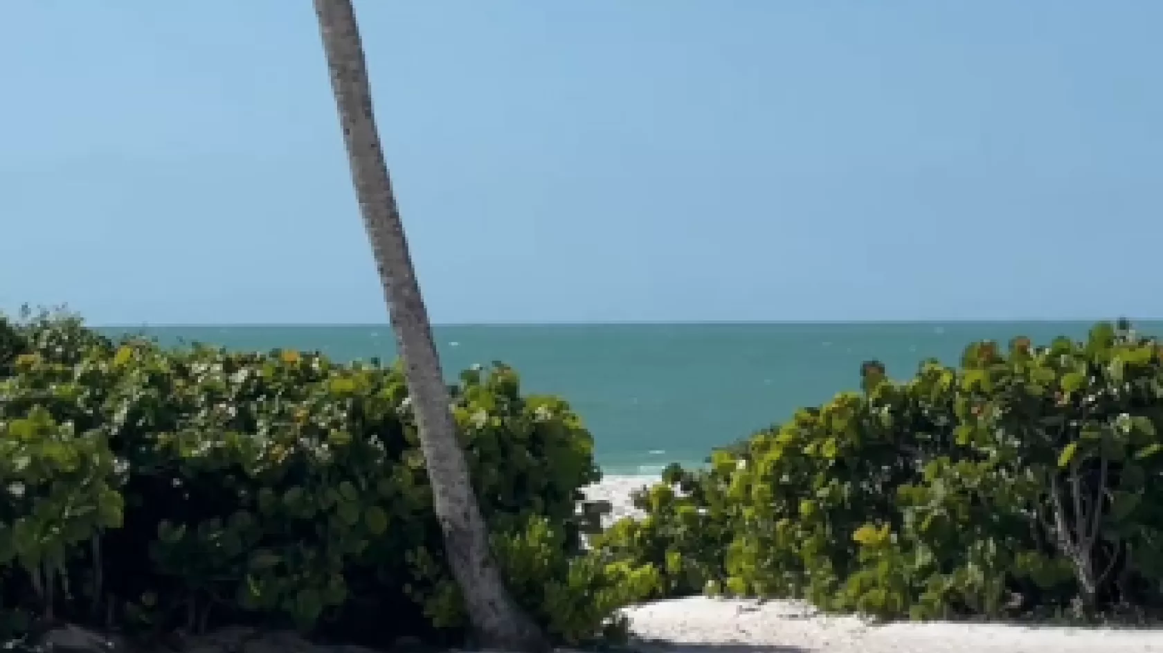 Sanibel
