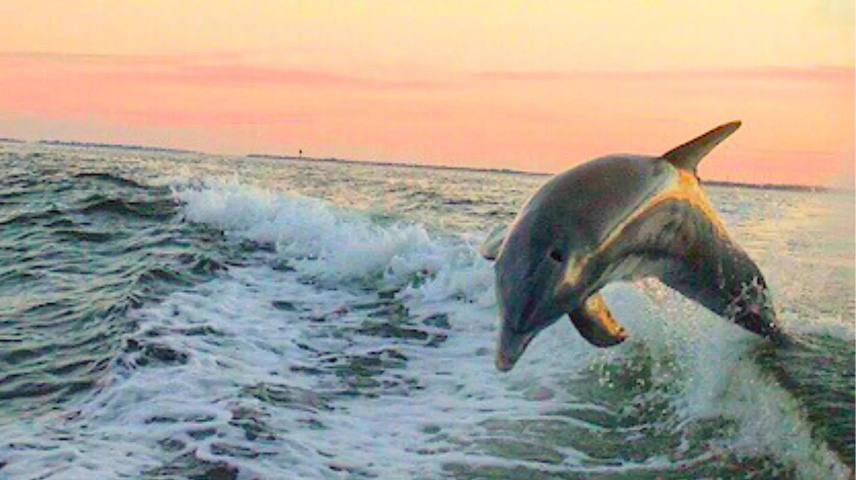 Enjoy a sunset cruise