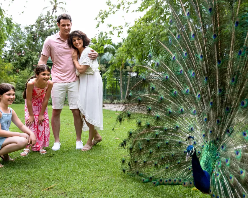 Family Wonder Gardens