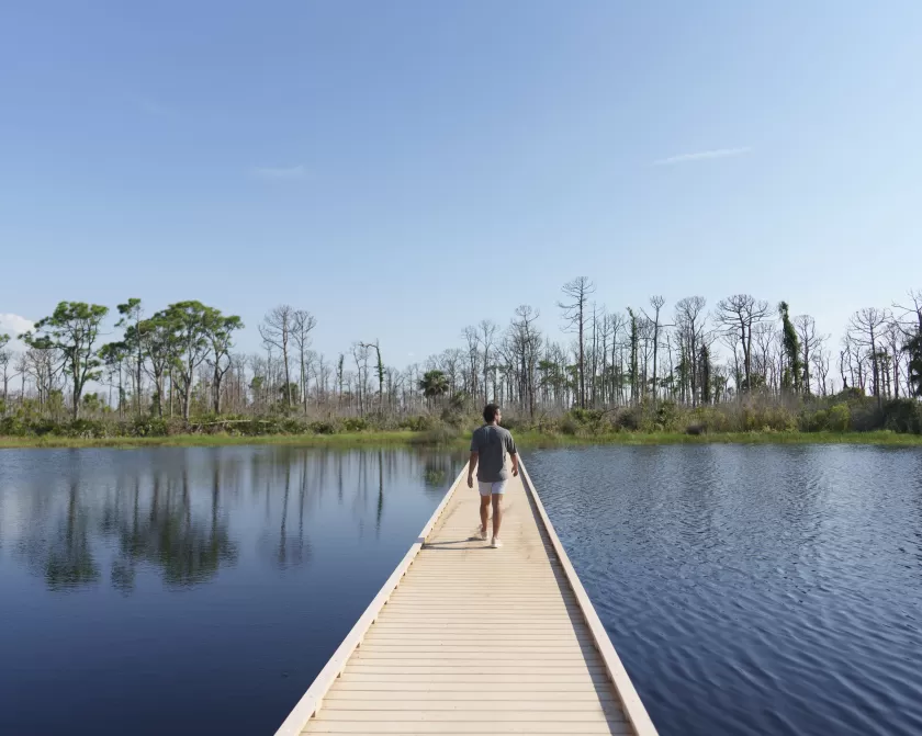 Man standing on boardwalk at Galt Preserve
