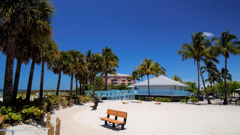 Lynn Hall Memorial Park