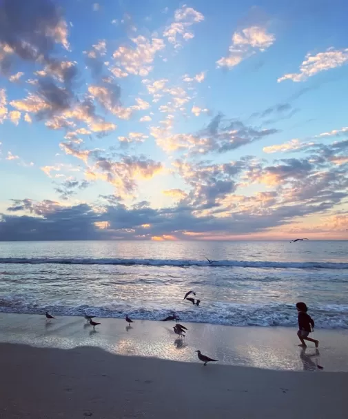 Kids Water Beach Waves Sunset Birds Sand