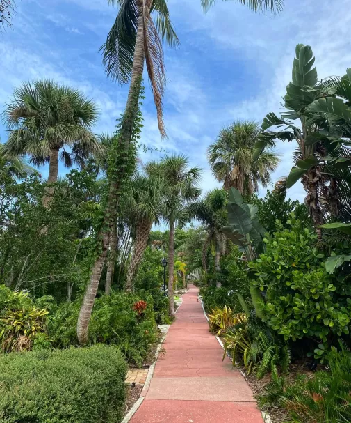 Nature Walks Wildlife Greenery