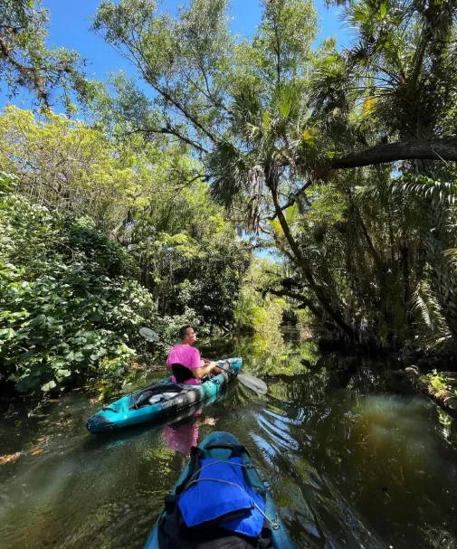 Group Kayak and Paddling along the River